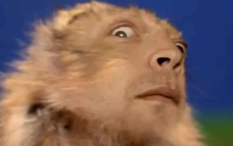 Meme from Weezer's Pork and Beans video. Looks like hamster with human face.