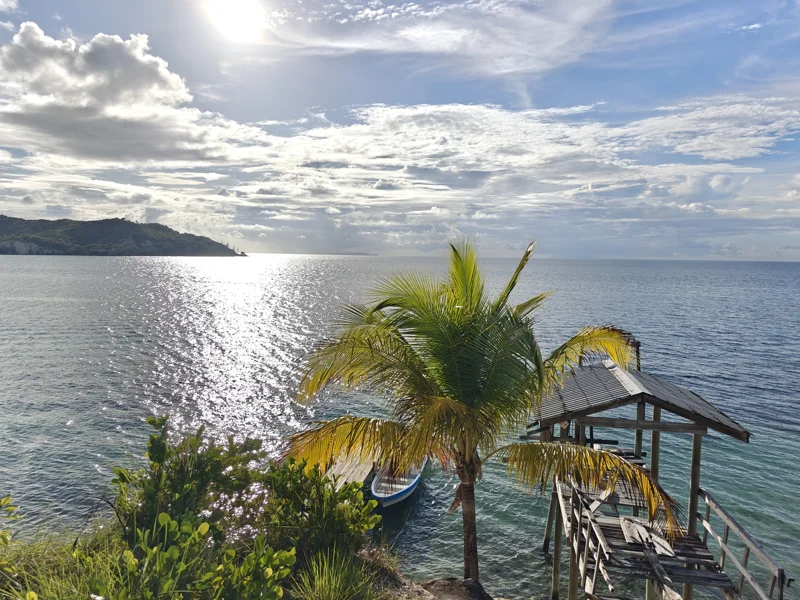 Overlooking the ocean from above. Palm tree obscures the boat below. Sun is shining and reflecting off shimmering ocean water.