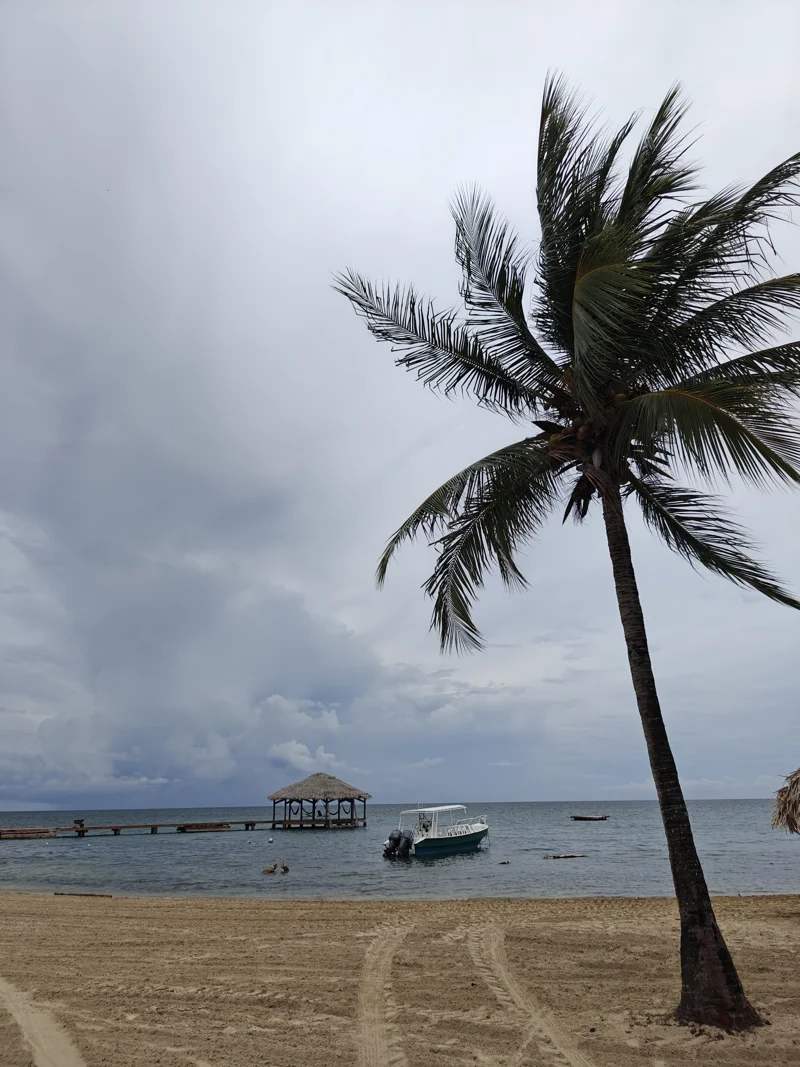 Single palm tree on sand. Boat in water, next to a dock with a covered gazebo at the end.