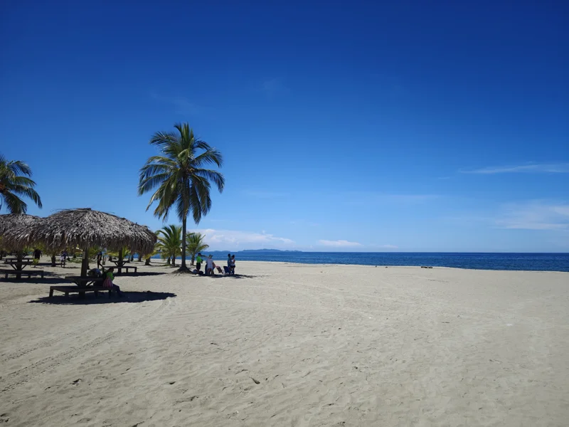 Long stretch of white sand. Some covered areas for eating and a couple of palm trees to the left. Ocean straight ahead.