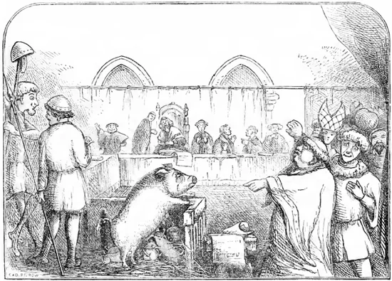 Trial of a sow and pigs at Lavegny. Sketch of pigs in a courtroom with people accusing pig.