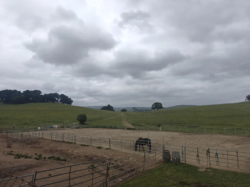 Gray clouds above. Green landscape beyond with rolling hills. Closer is gated area for horses, one of them seen eating hay from ground.