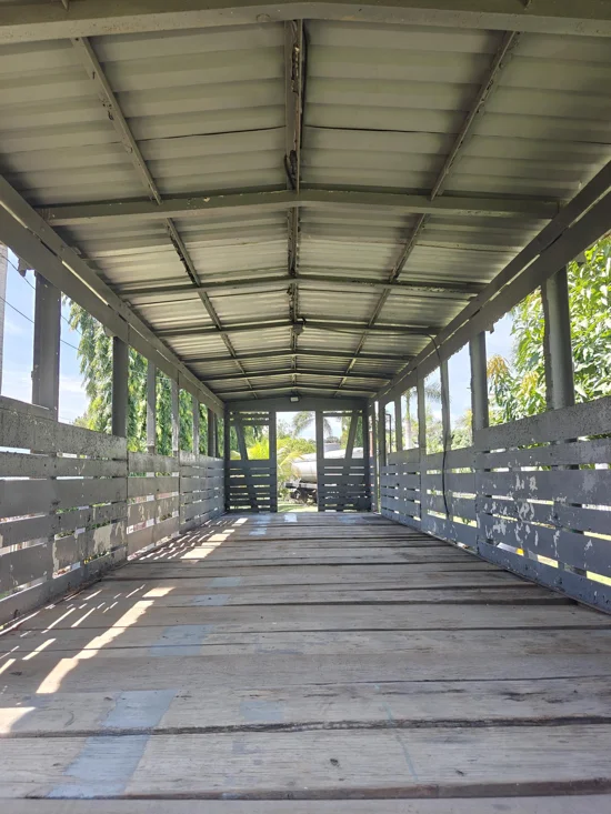 Inside old wooden train cabin, with sun beaming in, and trees outside of open windows.