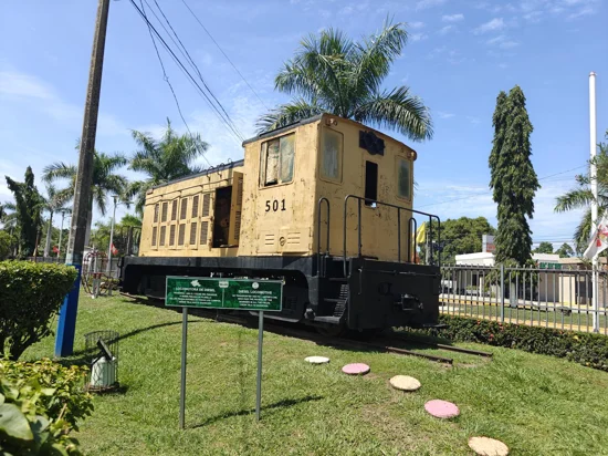 Inside old wooden train cabin, with sun beaming in, and trees outside of open windows.
