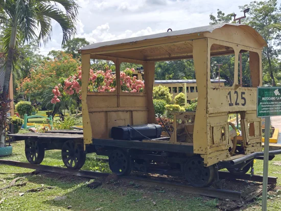 Inside old wooden train cabin, with sun beaming in, and trees outside of open windows.