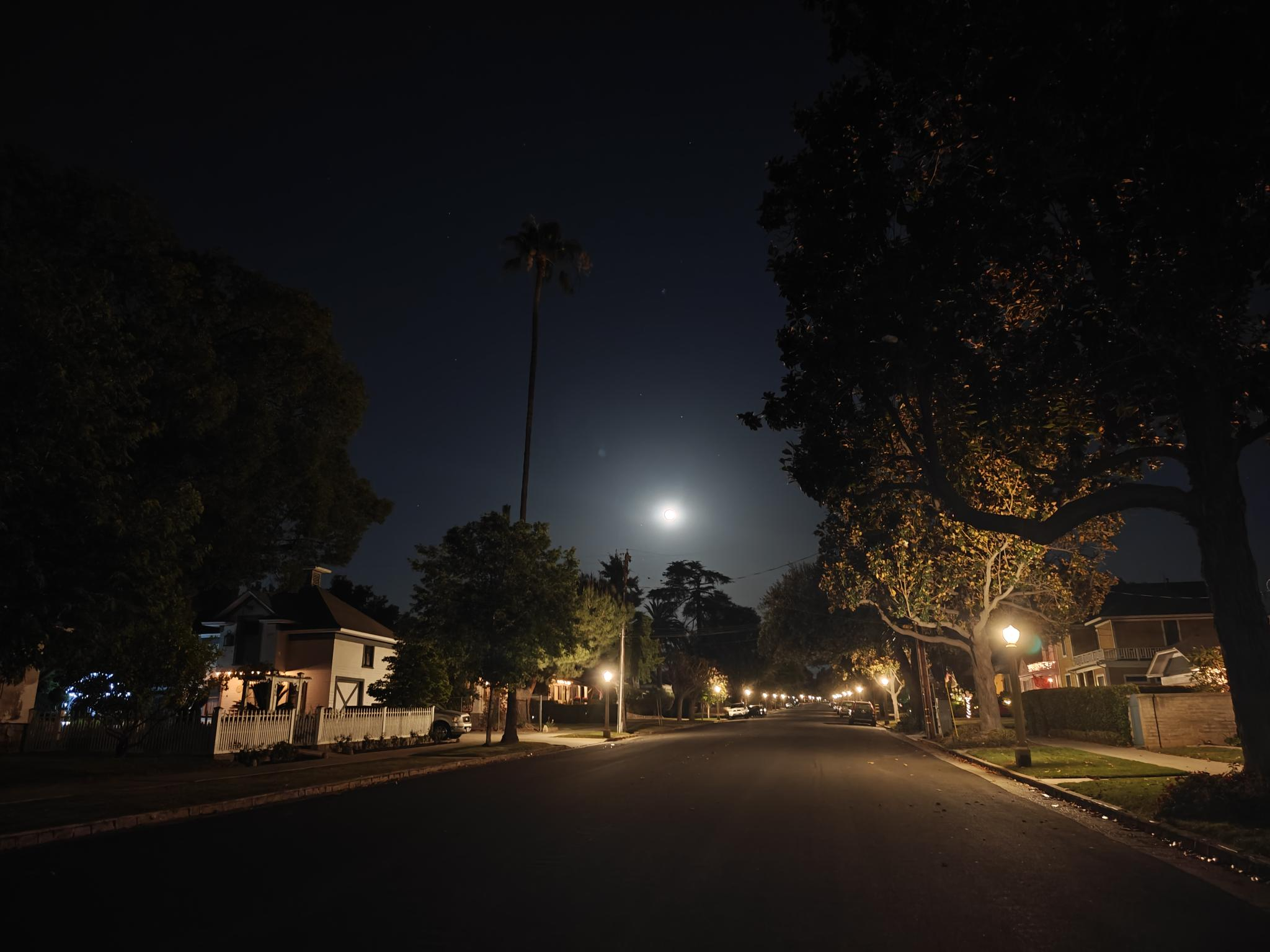 Street at night with lamps on either side and silhouettes of trees and houses. A blurry moon in the distance.