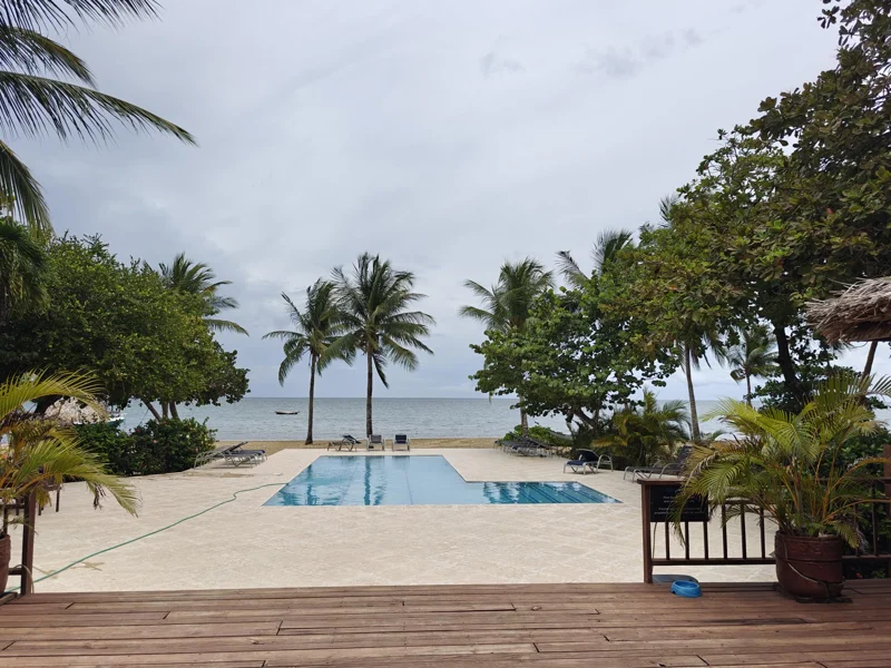On a deck, looking out on a pool, surrounding by palm and other tropical trees. Directly beyond is the beach and ocean, with a small boat floating by. The sky is gray.